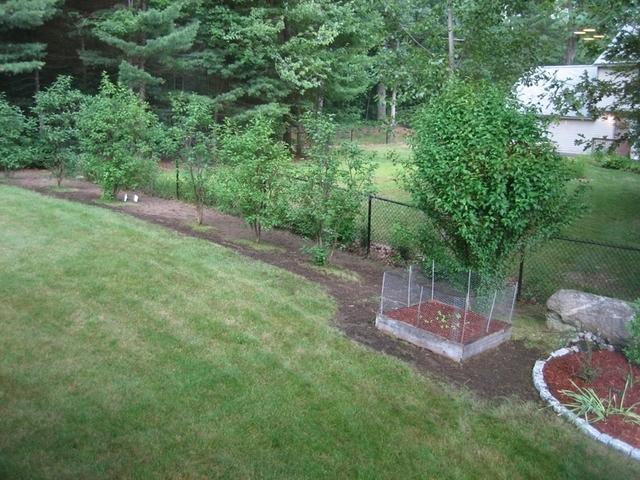 The side garden gets extended to include the lilacs.