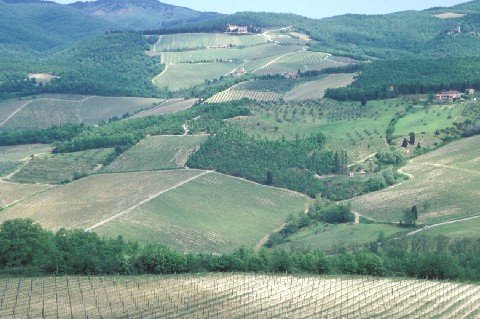 110-A-San Gimignano-Hills