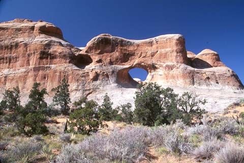 Tunnel Arch