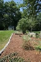 Looking toward the shed