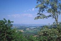 109-G-San Gimignano-Hillside