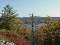 Somes Sound #4